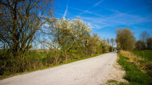 Road amidst trees against blue sky