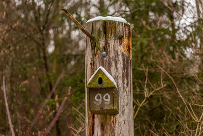 Close-up of birdhouse on wooden post in forest