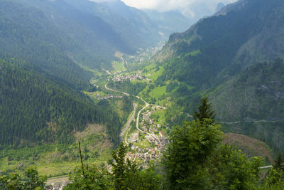 High angle view of trees and mountains