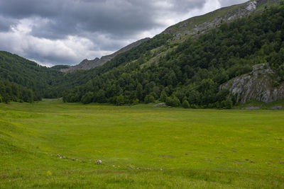 Scenic view of landscape against sky