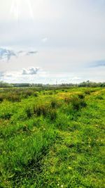 Scenic view of field against sky