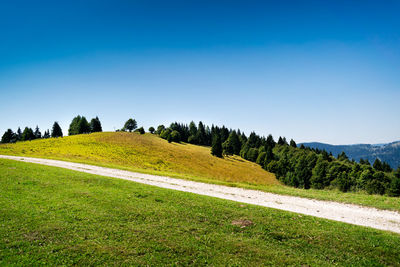 Scenic view of field against clear blue sky