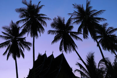 Low angle view of silhouette palm trees against sky