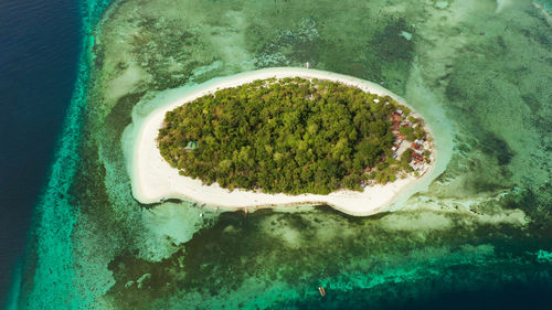 High angle view of plants in water