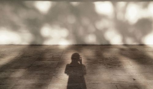 Shadow of person on wall