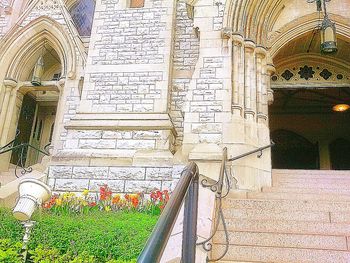 View of plants against the wall