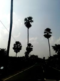 Low angle view of silhouette trees against sky