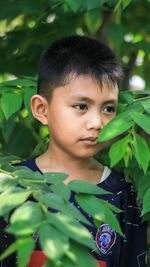 Portrait of boy with green leaves