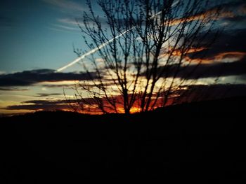 Silhouette bare tree against sky at sunset