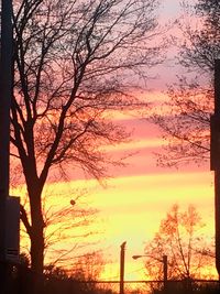 Silhouette trees against sky during sunset