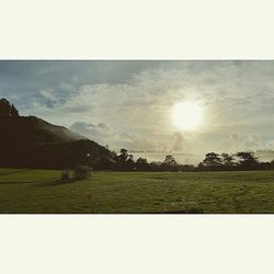 Scenic view of grassy field against sky