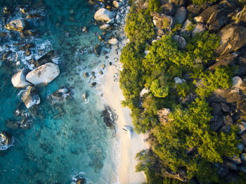 High angle view of trees by sea