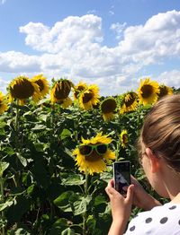 Flowers blooming in field