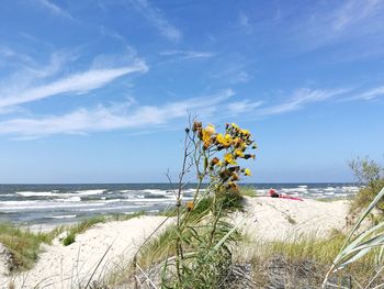 Scenic view of beach against blue sky