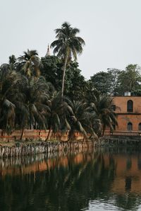 Reflection of palm trees in lake against clear sky