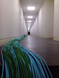 Blue and green cables in passage of building