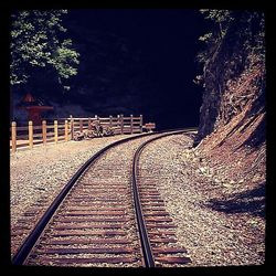 Railroad tracks in forest