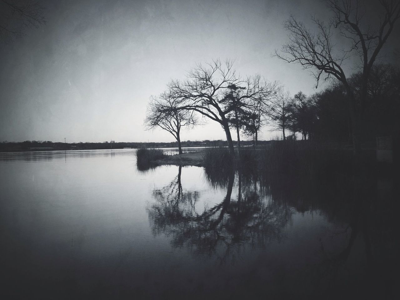 water, tranquility, tree, bare tree, reflection, tranquil scene, lake, scenics, silhouette, beauty in nature, nature, branch, sky, waterfront, standing water, calm, clear sky, idyllic, river, dusk