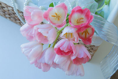 Close-up of pink flowers