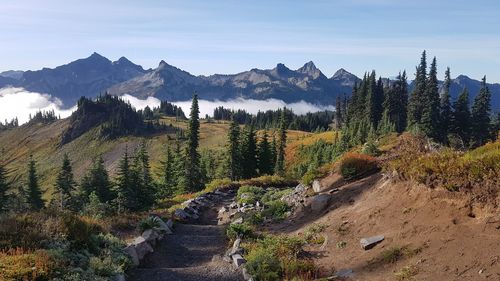 Hiking over clouds in mount rainier national park - scenic view of trees and mountains against sky