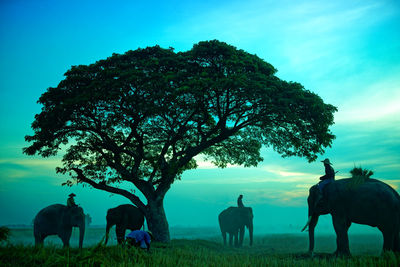 View of people riding horse on field against sky