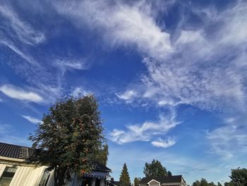 Low angle view of trees and building against sky