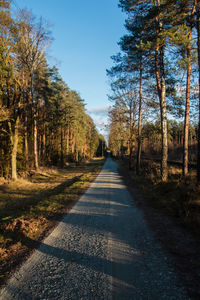 Road amidst trees in forest against clear sky