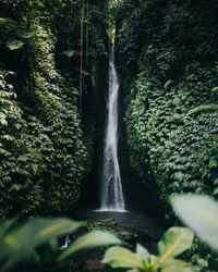 Scenic view of waterfall in forest