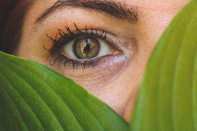 Close-up of human eye