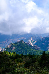 nature