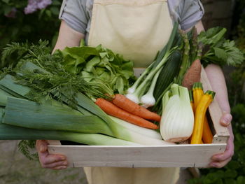 Midsection of person holding vegetables in crate