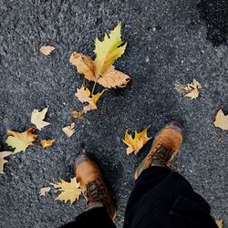 Low section of man standing on fallen leaves