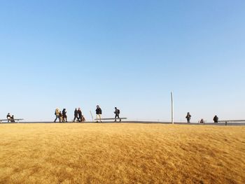 People on field against clear sky