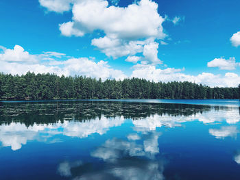 Reflection of trees in lake against blue sky