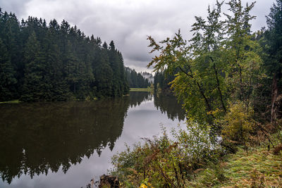 Scenic view of lake by trees against sky