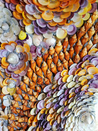 Full frame shot of colorful seashells
