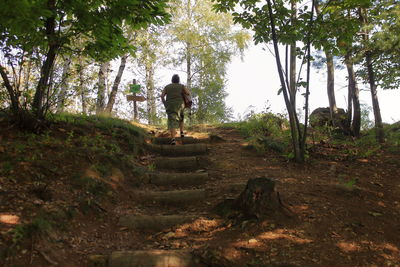 Rear view of man standing in forest