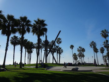 People on palm trees against clear sky