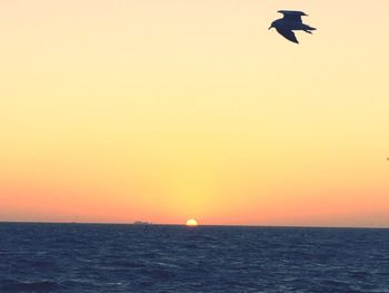 Bird flying over sea against clear sky