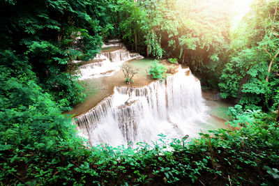 Scenic view of waterfall in forest