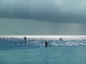 Silhouette of people paddling on sea