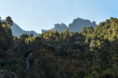 Sunset in the mountains, rwenzori mountains, uganda