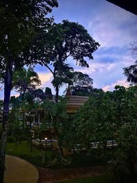 Trees in park against sky