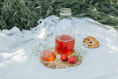 Picnic in nature with strawberries and lemonade