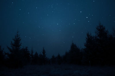 A beautiful, dark winter scenery while snowing. bright white snowflakes.