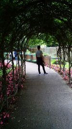 Rear view of man walking on footpath in park