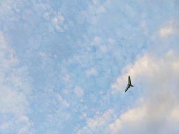 Low angle view of seagull flying against sky