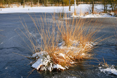 View of frozen lake during winter