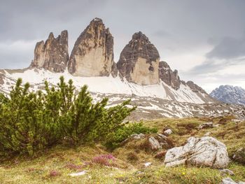 Evenning spring panorama view from popular trail. sharp peaks tre cime di lavaredo, italien alps