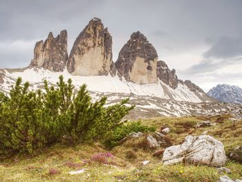 Evenning spring panorama view from popular trail. sharp peaks tre cime di lavaredo, italien alps